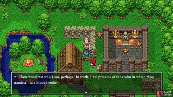 Speak with the Princess here to begin the quest for Moonahan