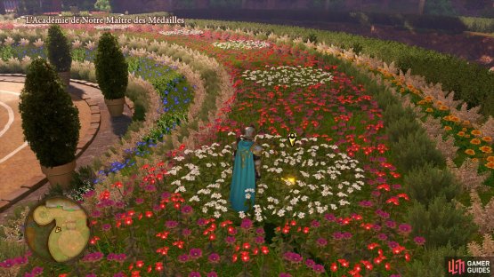 search the field of flowers to the southwest of the entrance to find the missing box.