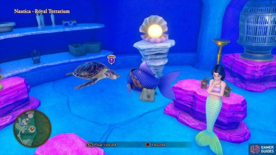 There are two quests to accept in Nautica