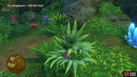 You&rsquo;ll find the last chest of The Manglegrove hidden next to the nearby Crystal