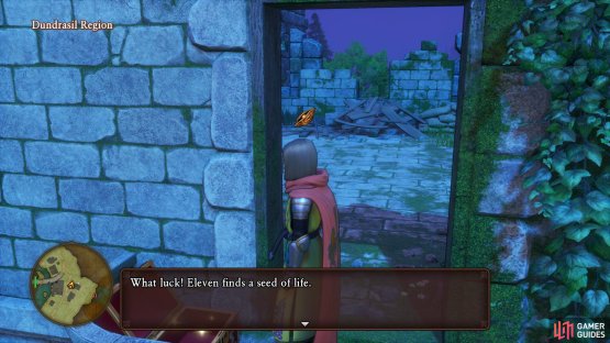 Head to the back of the ruins to the east to find stairs leading to this chest