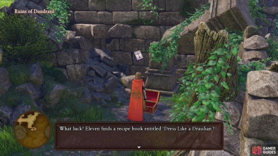 Search under the fallen pillar to the south to find a costume based Recipe Book