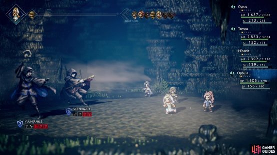 The Mystery Man will block the elemental weaknesses on his first turn