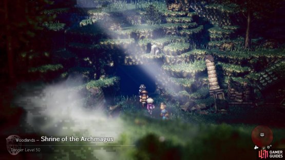 which will lead you straight to the Shrine of the Archmagus