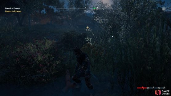 The pipe can be difficult to spot in the foliage, but you can find it on the edge of the water as shown here.