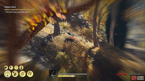 Shoot as many of the wolves with headshots as possible before you approach them. More will spring from the bushes when you reach the stream.