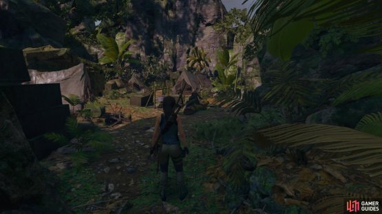 The abandoned camp site