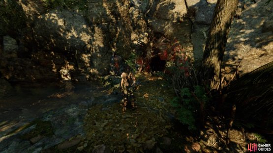 Wilderness entrance