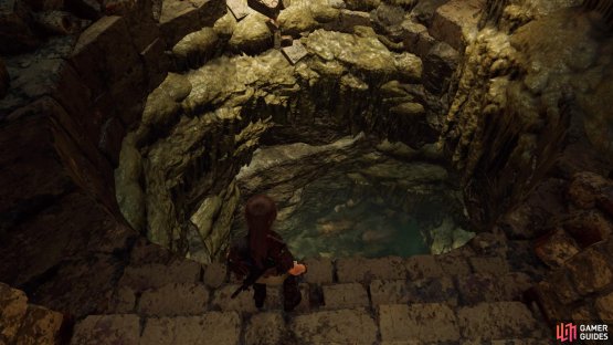 Dive into the water below