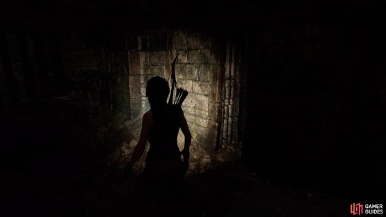 Find the hidden chamber