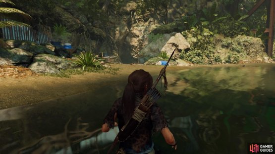 Swim to the shore across the river