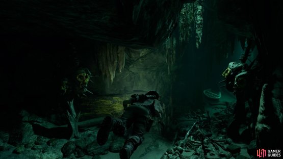 Swim through the tunnel