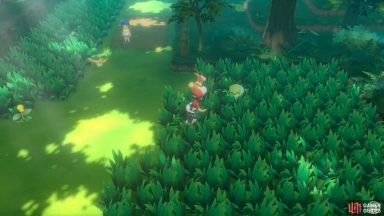 Wild Bulbasaur spotted!