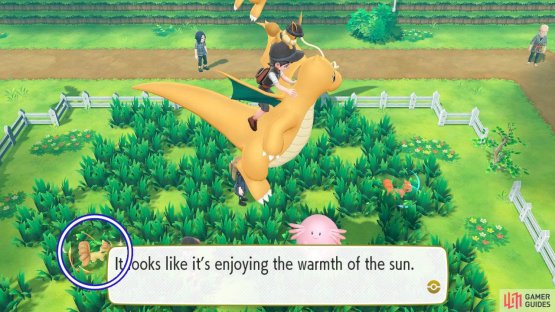 You can discern Shiny Pok&eacute;mon from regular Pok&eacute;mon on the overworld.