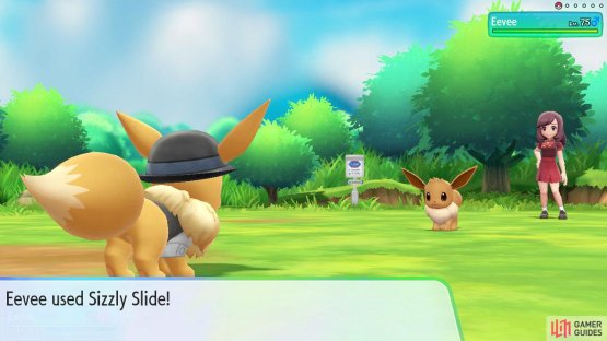 Master Trainers only use one Pok&eacute;mon (and you as well).