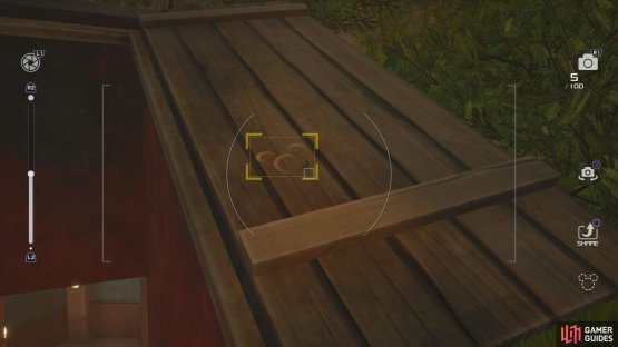 Look on the right side of the hatch door