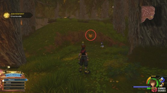 then head to the southeast to find the next Lucky Emblem.