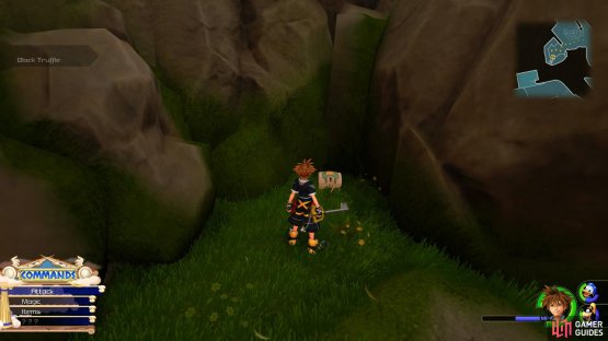 Take a left on the Trinity Sled to reach this area