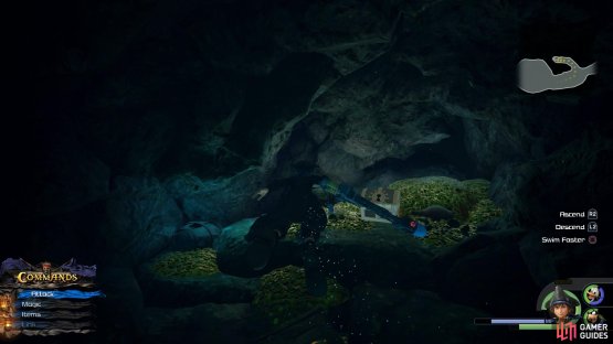 Search at the end of the Jellyfish path to find this chest