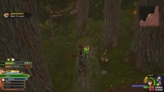 you&rsquo;ll find a tree you can walk across in the northwest.