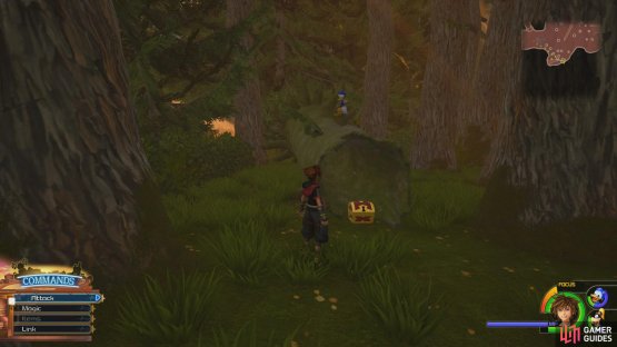 Search by the fallen tree to the south