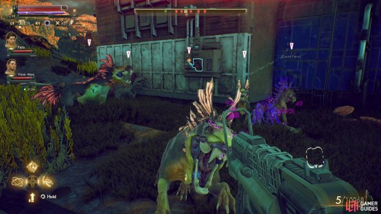 Kill some canids near the Bayside Terrace Ruins