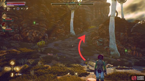 or the &ldquo;fun&rdquo; route, which is marching up the mantid-infested mountain.