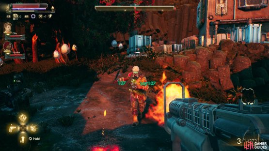 Kill the marauders lurking around the expansion site