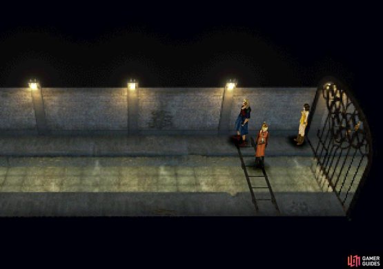 As the gate team you&rsquo;ll need to push down ladders