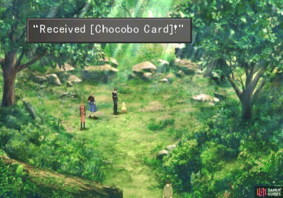 then talk to the chicobo to gain the Chicobo Card.