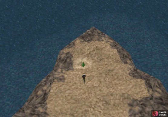 and try to catch the cactuar that surfaces there