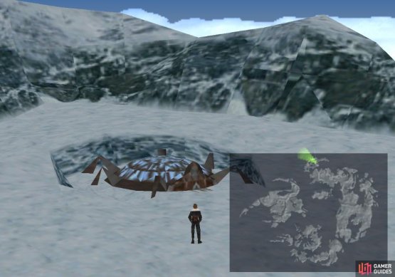 A more local view of the Shumi Village