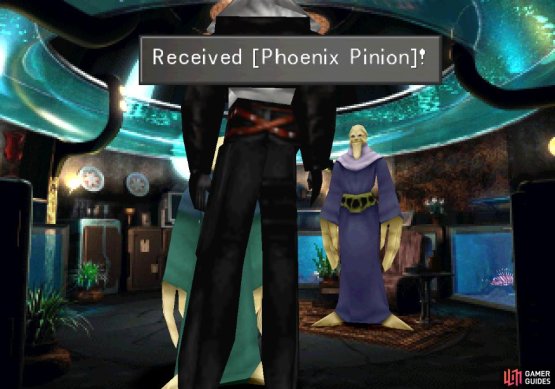 Find all the stones and talk to the Elder to receive a Phoenix Pinion
