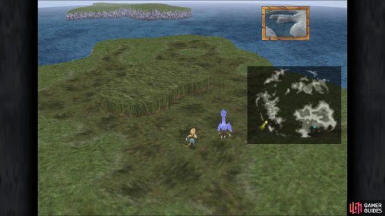 The Adamantoise is the only enemy to spawn in the swamp area outside of Qu&rsquo;s Marsh on the island