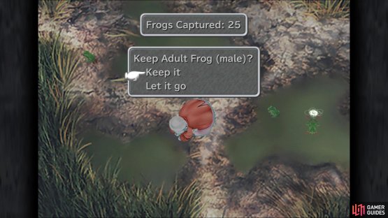 You will be told the gender of the frog whenever you catch one