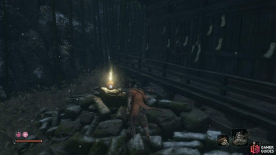 Search behind the Temple to find a well hidden item