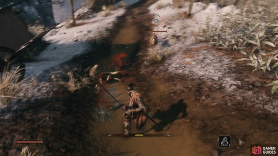 Dog&rsquo;s take a single strike to put down.