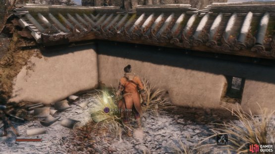 On the ledge above the Idol you&rsquo;ll find an item