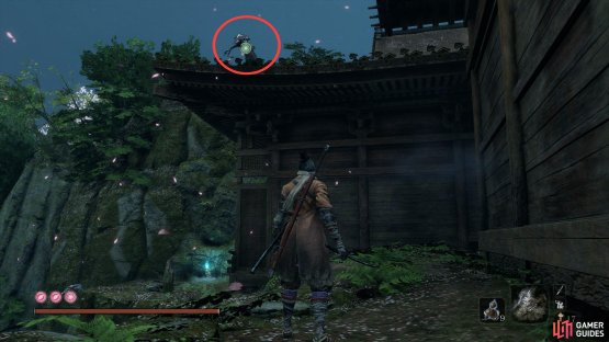 Head around the back to find the first grapple point
