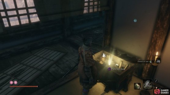 The first Gourd Seed can be found in a chest near the Idol