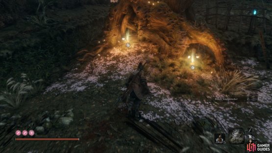 don&rsquo;t forget to grab the Gourd Seed near the large tree in the center.
