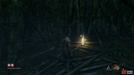 You&rsquo;ll find this valuable item in the path behind Anayama