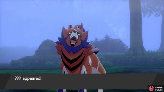 Pok&eacute;mon Shield.