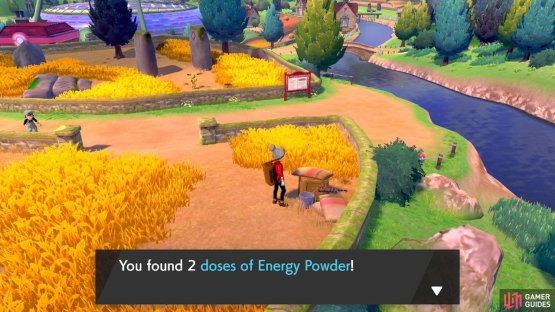 This medicine restores HP but reduces your Pok&eacute;mon&rsquo;s friendship. Only use if you must&hellip;