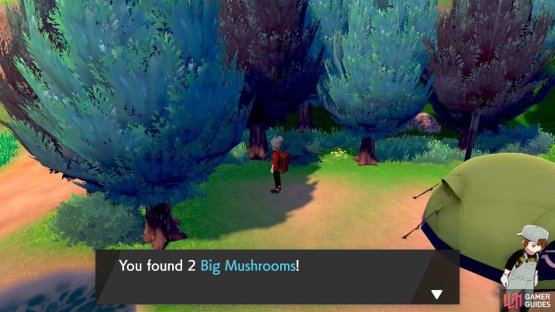 Don&rsquo;t sniff these mushrooms, sell &rsquo;em for cold, hard cash!
