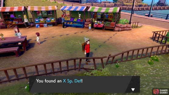 Use one of these during battle to raise your Special Defence by two stages.