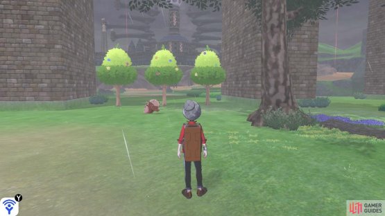 There will be three berry trees in a line. Carefully go past these trees, underneath the giant bridge.