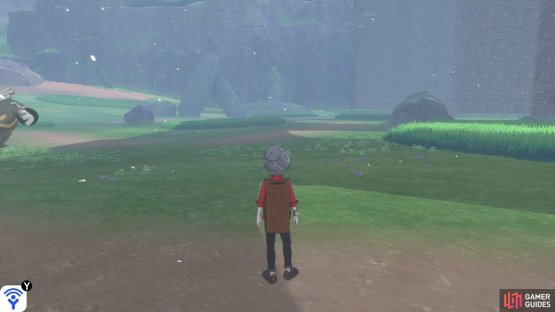 Go towards the rough ground, then face east towards the wall in the far-off distance.