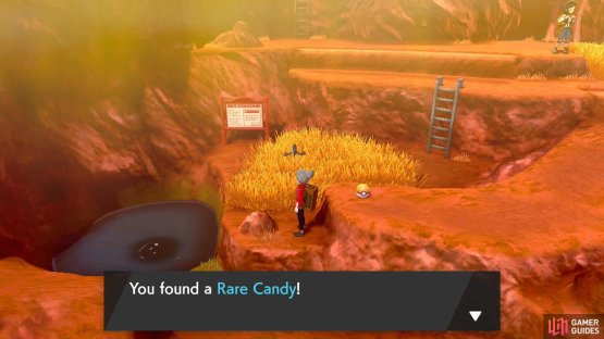 Use this to boost a Pok&eacute;mon&rsquo;s Level by 1.