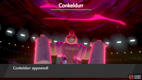 Pok&eacute;mon Sword.